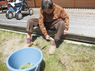 草がよく伸びるね