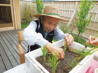 そよかぜで田植えをしました！