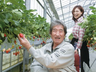 春の遠足はイチゴ狩り