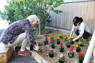 花壇が明るくなりました