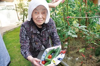 たくさんの野菜ができました