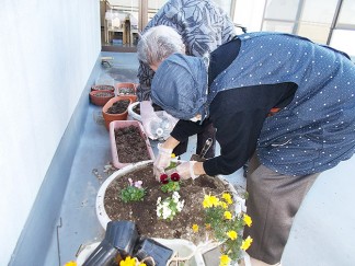 鉢植えのお手入れを楽しんでいます