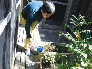 花壇のお花に水やりを続けています