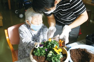 パンジーをご利用者と職員で植えました