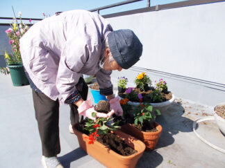 みなみ苑「花植えをしました」