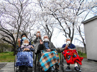 裏庭の桜と花壇