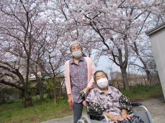 裏庭の桜と花壇