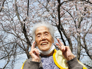 裏庭の桜と花壇