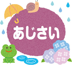 あじさい