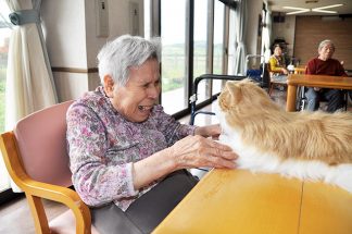 あい寿の丘「猫のぬいぐるみ」