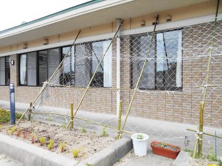 南知多町デイサービス「緑のカーテン」