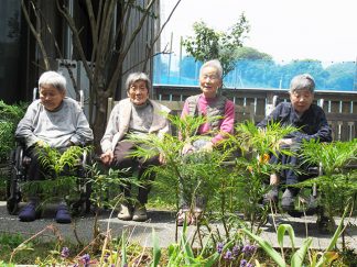 ひだまり「日向ぼっこ」