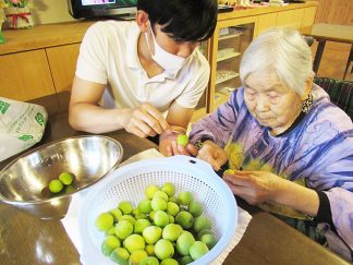 ひだまり「梅ジュース作り」