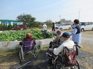 そよかぜデイサービス「冬野菜」