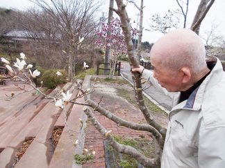 みなみ苑「花見」