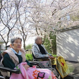 花見