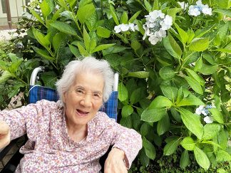 あい寿の丘「アジサイ」