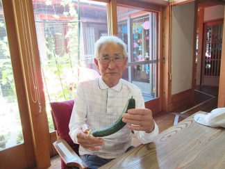 南知多町デイサービスセンターサテライト「キュウリ収穫」