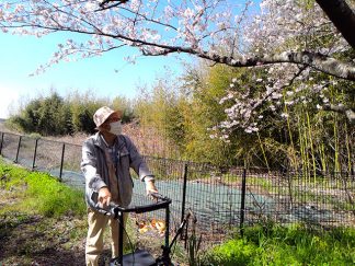 あい寿の丘「お花見」