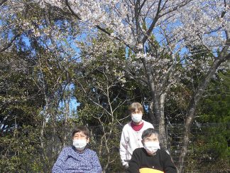 あい寿の丘「お花見」