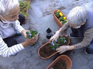 みなみ苑「鉢植え」