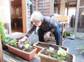 南知多町デイサービスセンター「中庭に、お花を植えました」