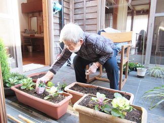 南知多町デイサービスセンター「中庭に、お花を植えました」