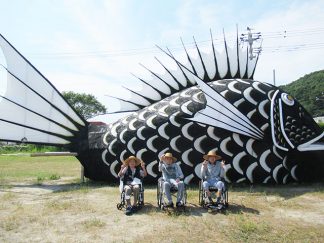 豊浜鯛祭りの鯛を見学