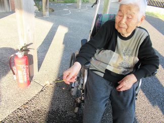 ひだまり「花火」