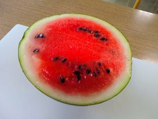 みなみ苑「7月のおやつ」